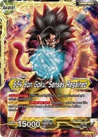 Son Goku & Pan