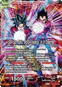 Son Goku & Vegeta