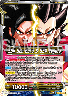 SS4 Son Goku & SS4 Vegeta